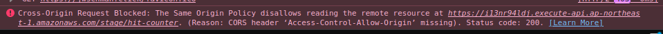 CORS error message